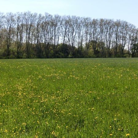 Gite Du Gardien Saint-Martin-de-Crau Ngoại thất bức ảnh