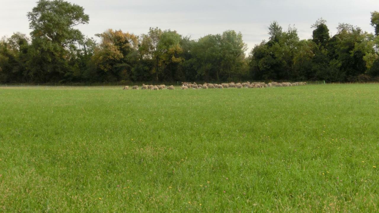 Gite Du Gardien Saint-Martin-de-Crau Ngoại thất bức ảnh