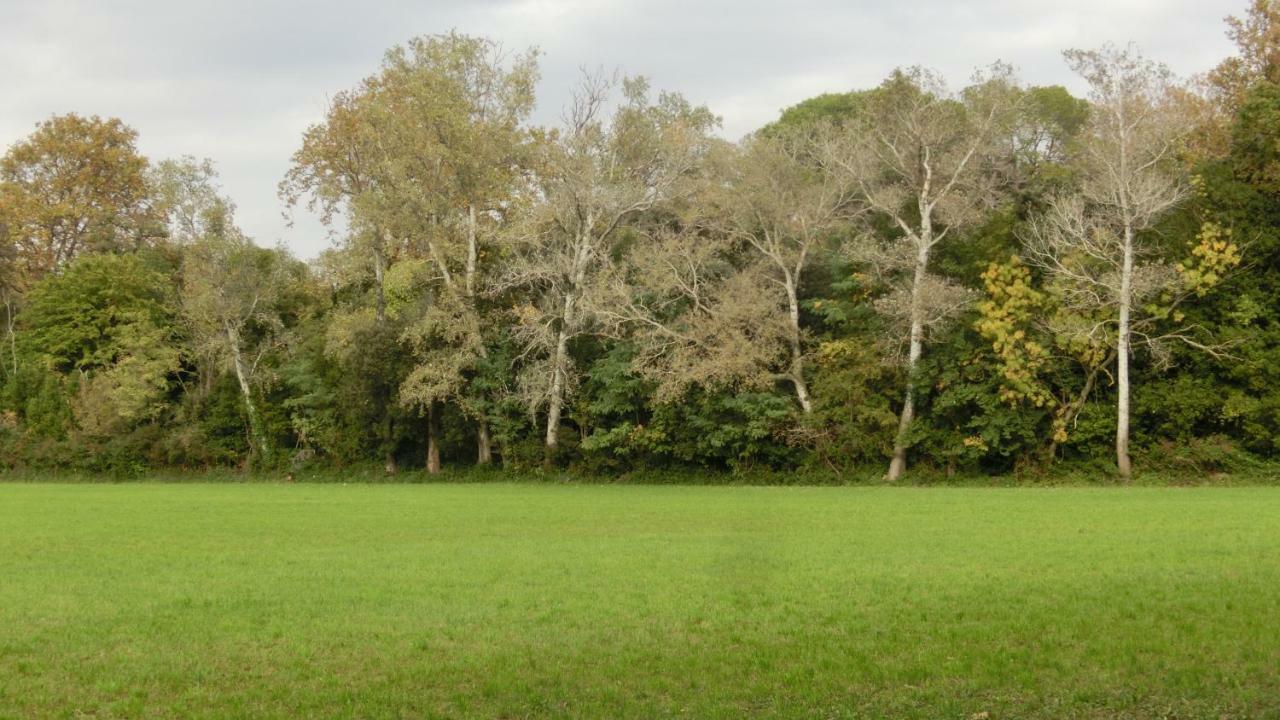 Gite Du Gardien Saint-Martin-de-Crau Ngoại thất bức ảnh
