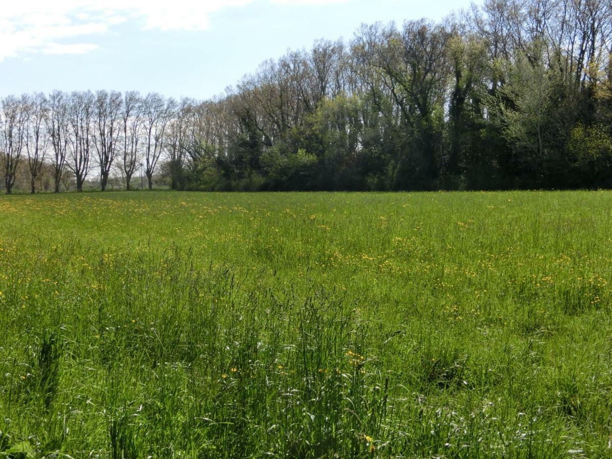 Gite Du Gardien Saint-Martin-de-Crau Ngoại thất bức ảnh